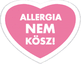 anti allergén fülbevaló